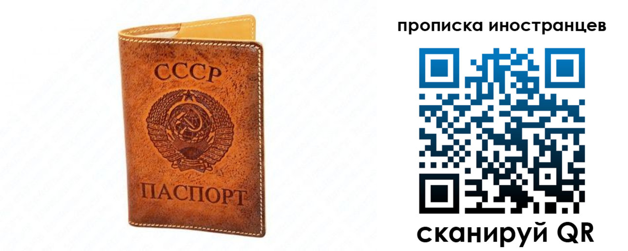 прописка для школы в Дубовке